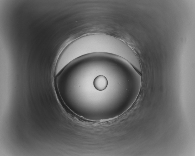 X0000114420003200910231215