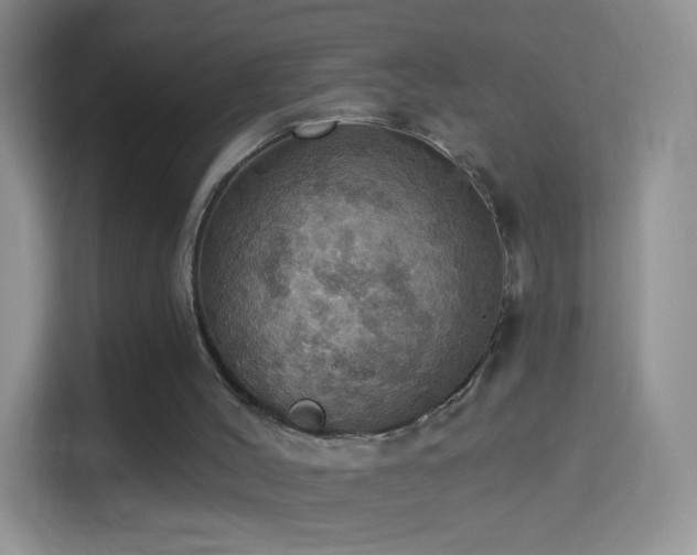 X0000114420004200910231215