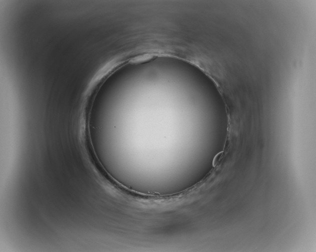 X0000114420005200910231215