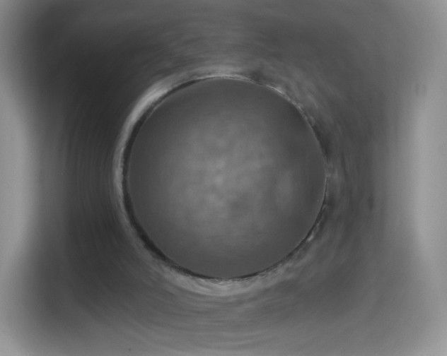 X0000114420006200910231215