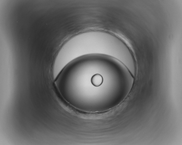 X0000114420009200910231215