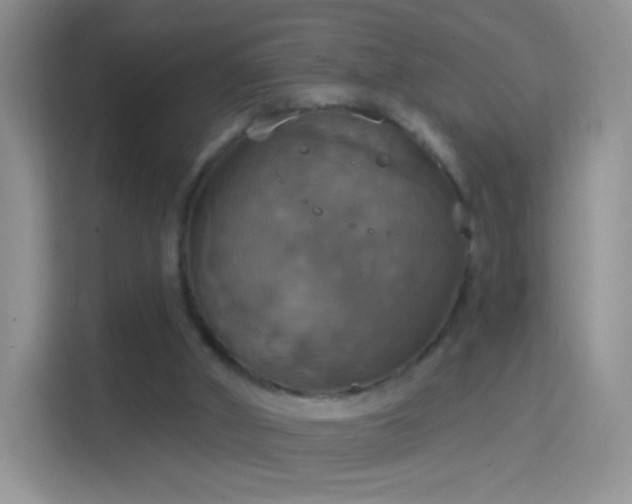 X0000114420010200910231215