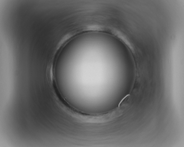 X0000114420011200910231215