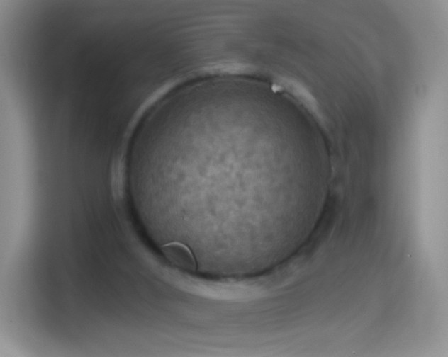 X0000114420012200910231215