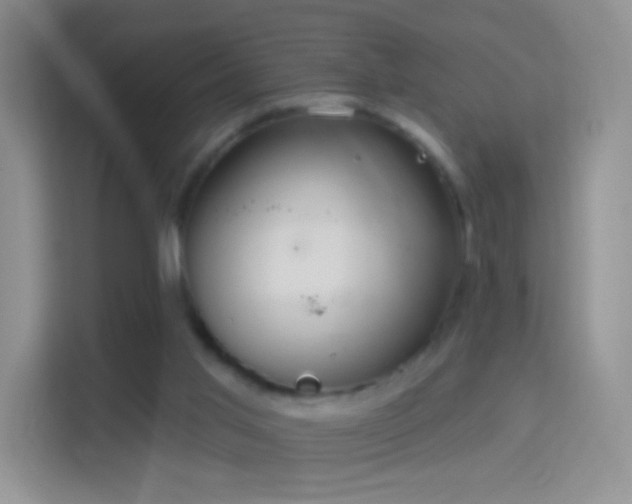 X0000114420013200910231215