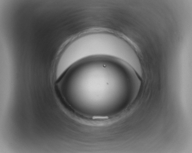 X0000114420015200910231215