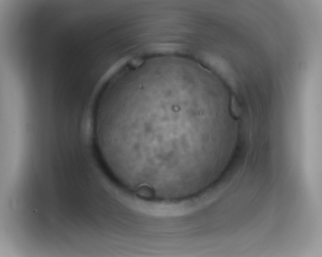 X0000114420016200910231215