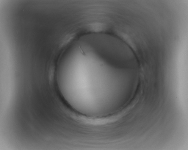 X0000114420018200910231215