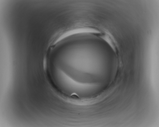 X0000114420019200910231215