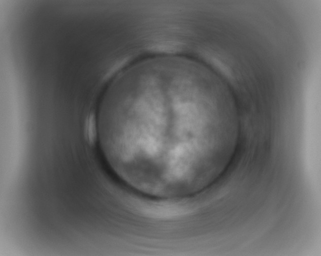 X0000114420020200910231215