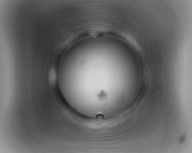 X0000114420021200910231215