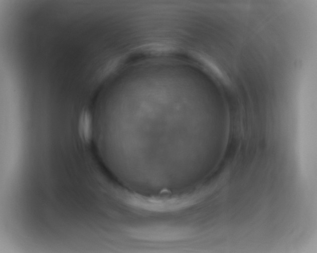 X0000114420022200910231215