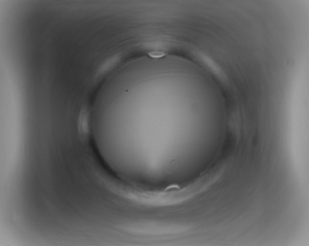 X0000114420023200910231215