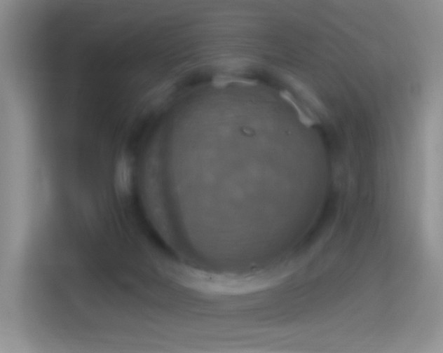 X0000114420026200910231215