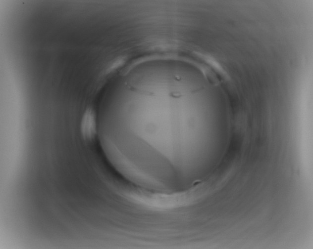 X0000114420027200910231215