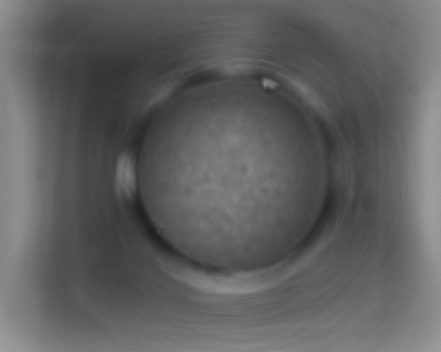 X0000114420028200910231215