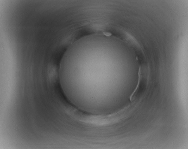 X0000114420029200910231215