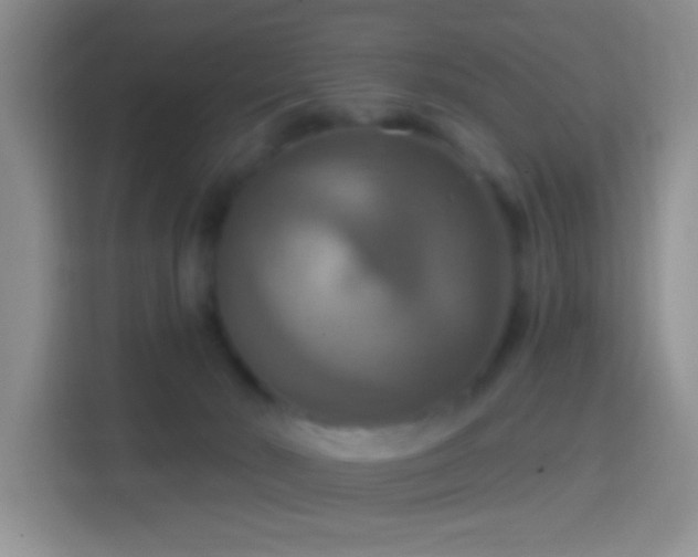 X0000114420030200910231215