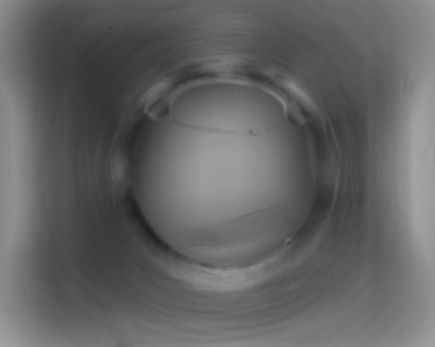 X0000114420031200910231215