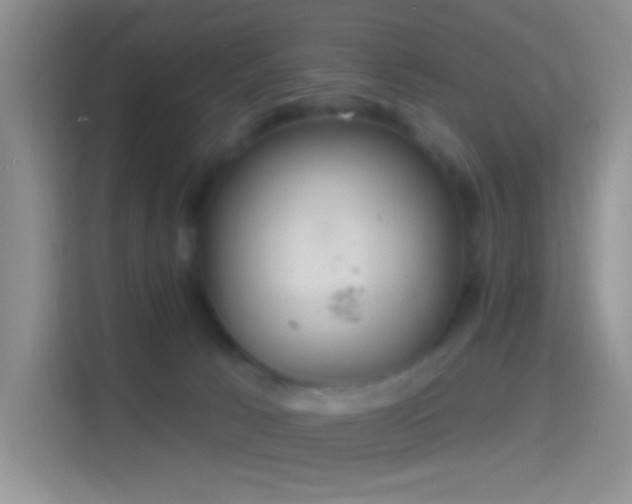 X0000114420033200910231215