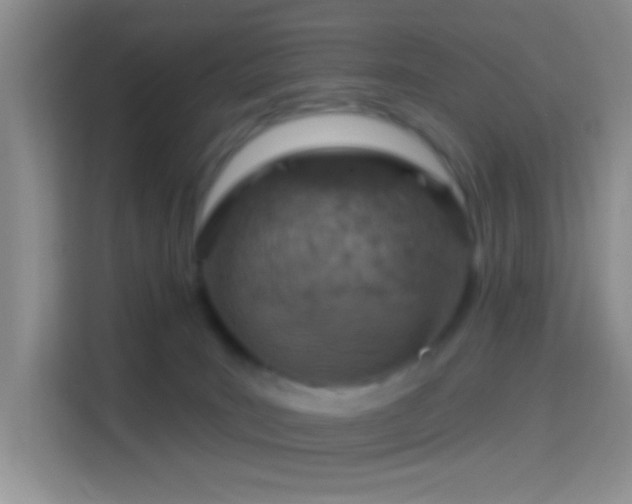 X0000114420035200910231215