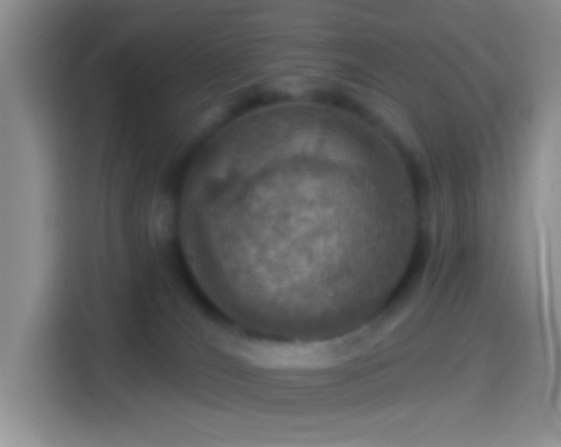 X0000114420036200910231215