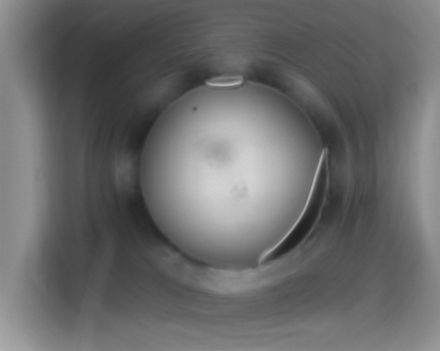 X0000114420037200910231215