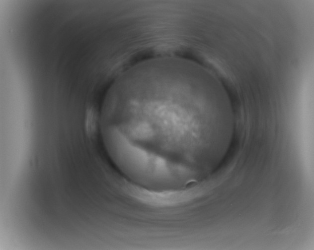 X0000114420038200910231215
