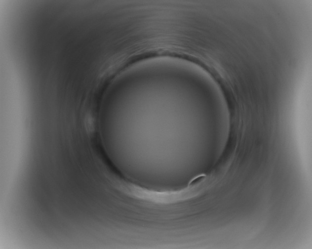 X0000114420039200910231215