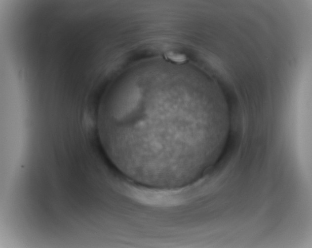 X0000114420040200910231215