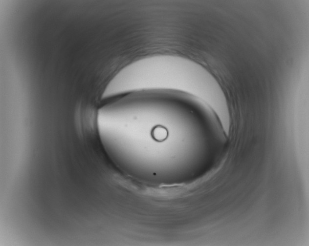 X0000114420041200910231215