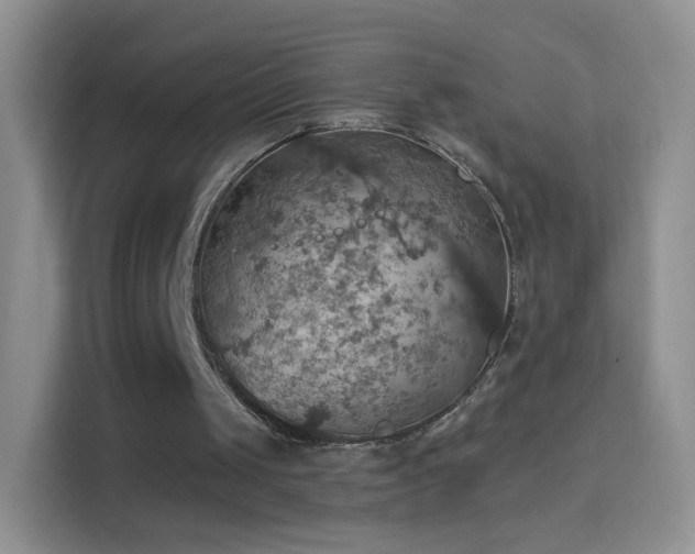 X0000114420049200910231214