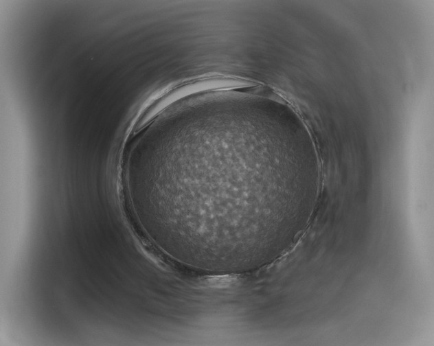 X0000114420050200910231214