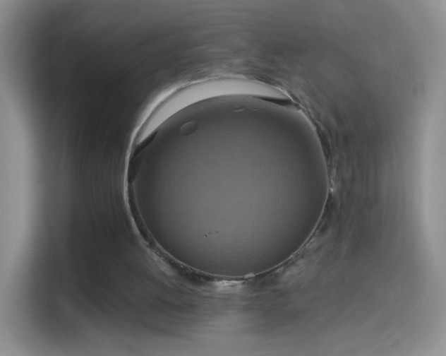 X0000114420052200910231214