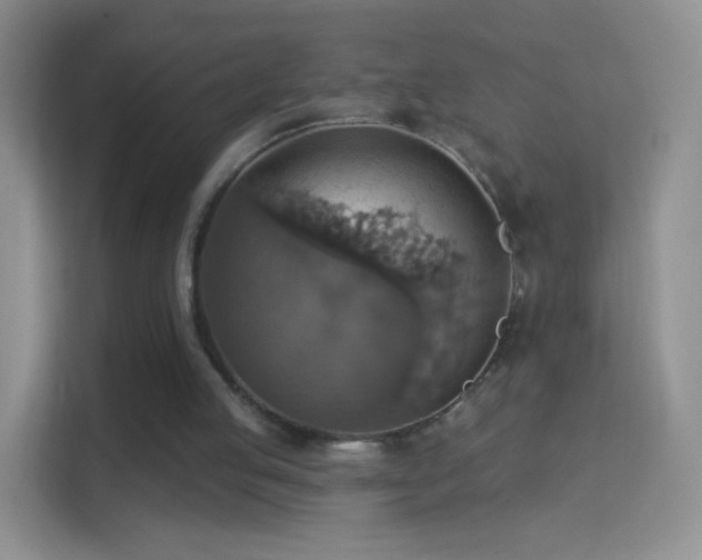 X0000114420053200910231214