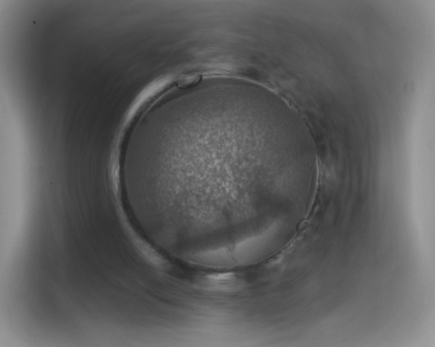 X0000114420054200910231214