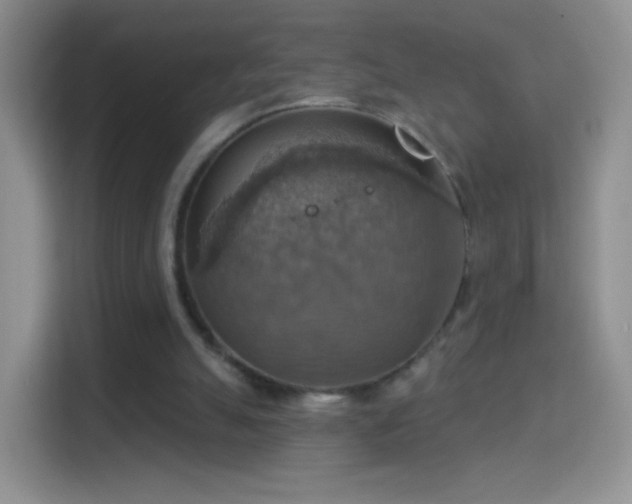 X0000114420055200910231214