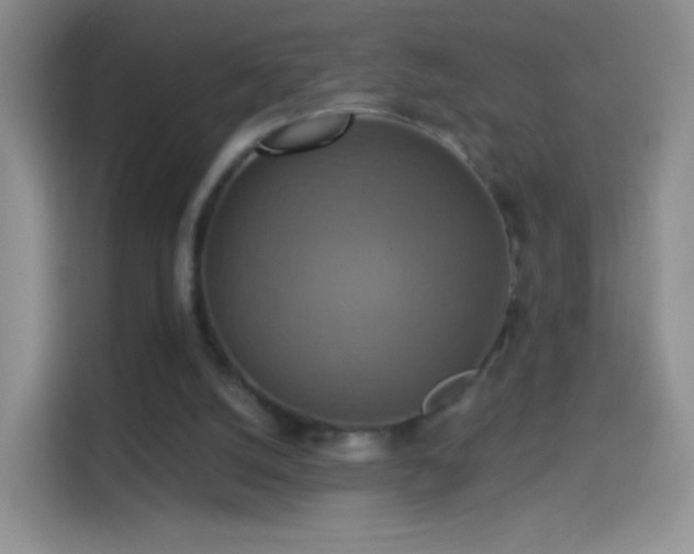 X0000114420056200910231214