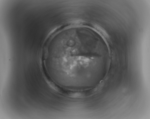 X0000114420058200910231214