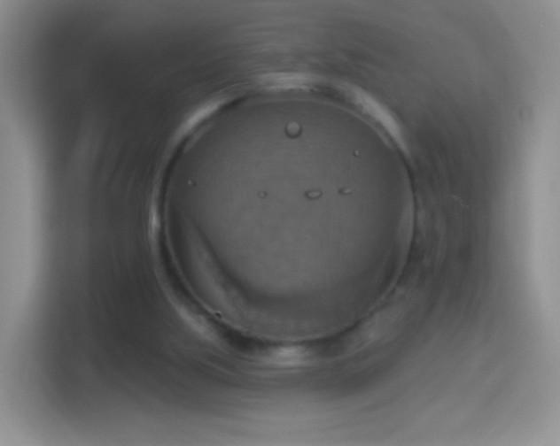 X0000114420059200910231214