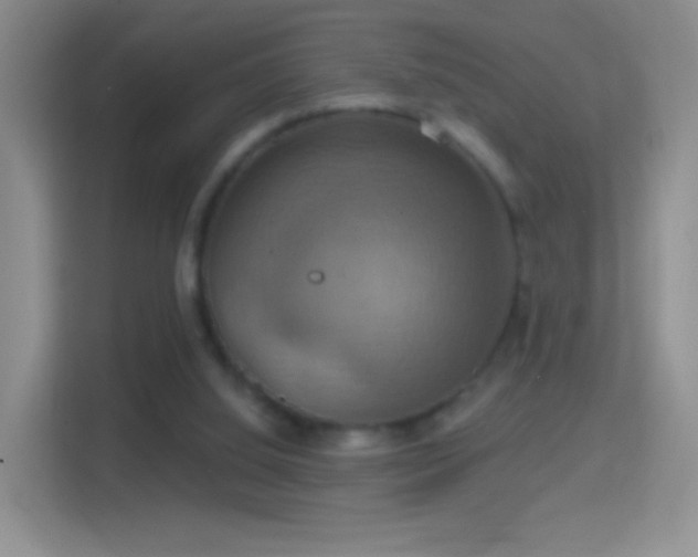 X0000114420060200910231214