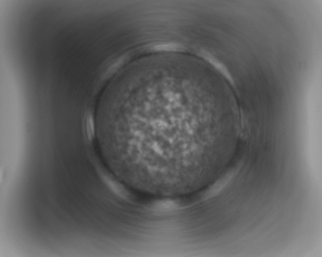 X0000114420061200910231214