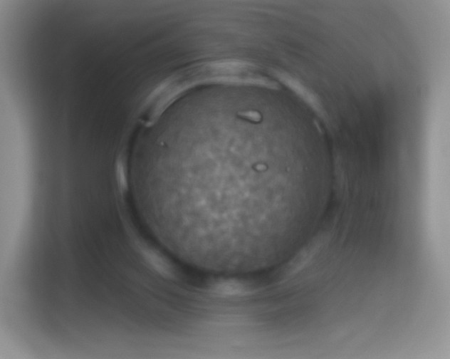 X0000114420062200910231214