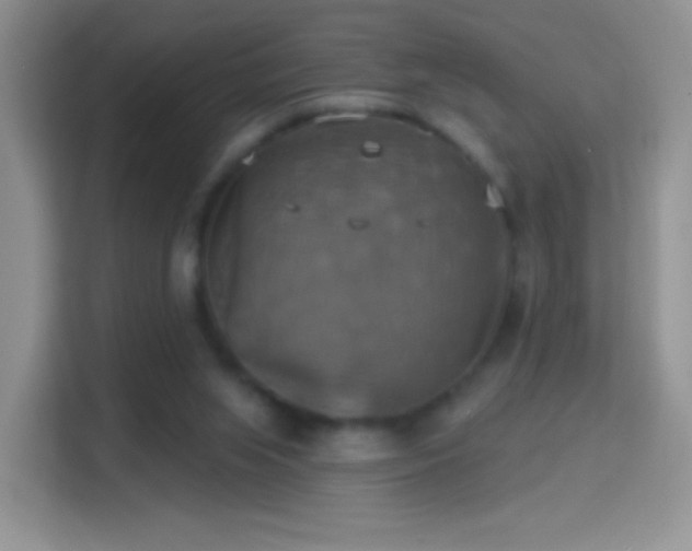 X0000114420063200910231214