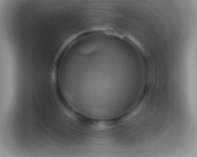 X0000114420064200910231214
