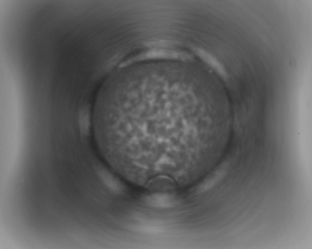 X0000114420065200910231214