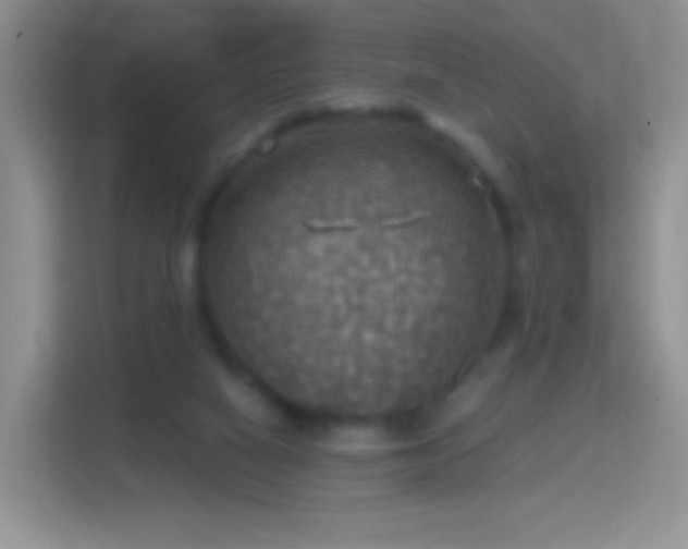 X0000114420066200910231214