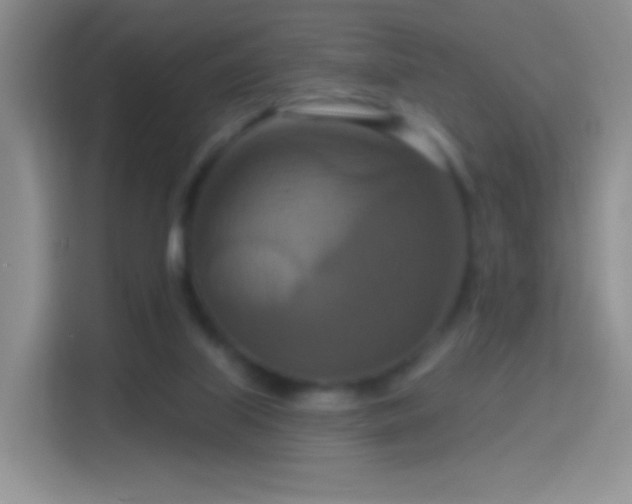 X0000114420067200910231214