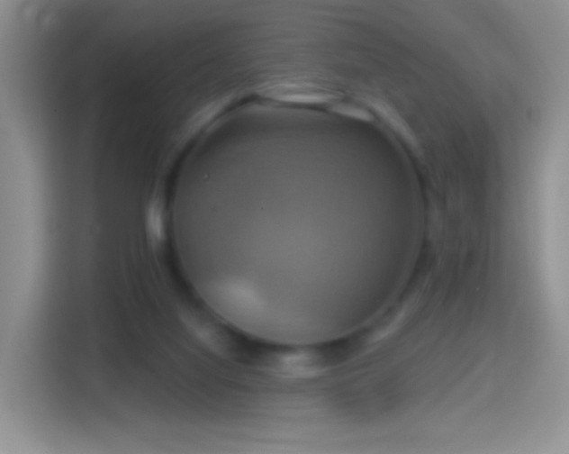 X0000114420068200910231214