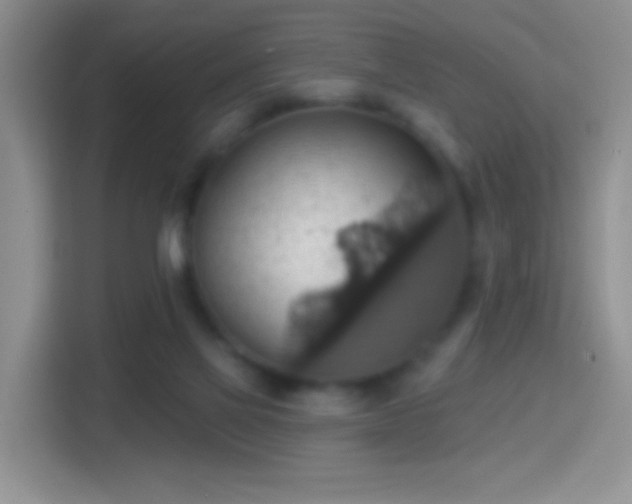 X0000114420069200910231214